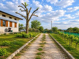 Charming House Among the Prosecco Hills & Olive Groves - 2