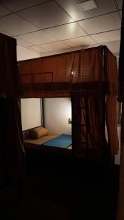 Waves & Paws Hostel - 4