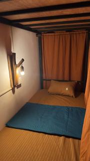 Waves & Paws Hostel - 5