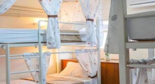 Kamin Bird Hostel - 8