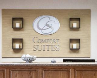 Comfort Suites Airport - 4