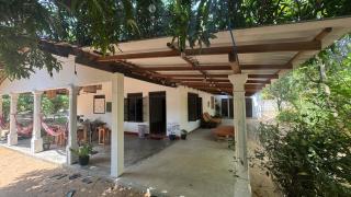 Waves & Paws Hostel - 3