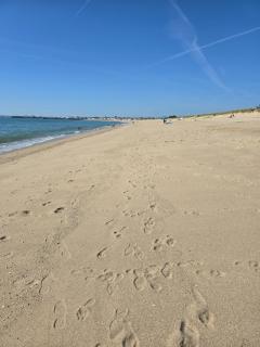 directe plage à moins de 100m - 0