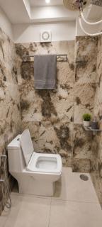 Elegant 1BHK in BTM near Vega City Luvia Royale - 4