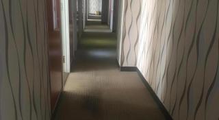 Thank Inn Hotel Hebei Langfang Xianghe County Guidu Furniture Center - 4