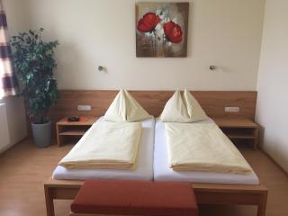 Gasthaus Hotel Feldschlange - Ried im Innkreis - 8