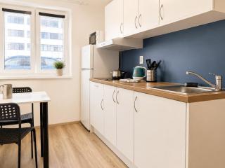 Cozy Mezzanine Apartment near Center - 1