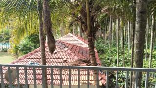 Sree Durga Saatvik Coorg Homestay - 7