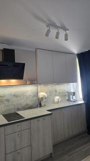 VISTULA Petite Studio ul Okrzei - 1