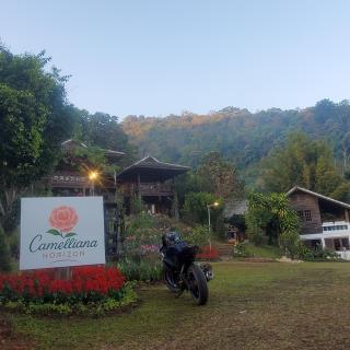 Camelliana Horizon Pongyang -Nature Retreat - Mae Rim - 0