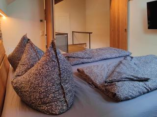 Ferienwohnung mit Sauna und 2 Kaminen - Hexenburg bei Dresden - 1