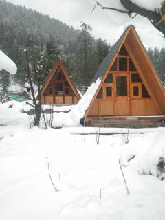 EcoGlampLife - 8