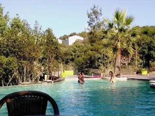 Chalet 2 étoiles - Piscine - ccbgcgc - 0