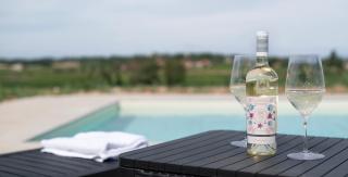 Agriturismo Cascina Montelupo - 4
