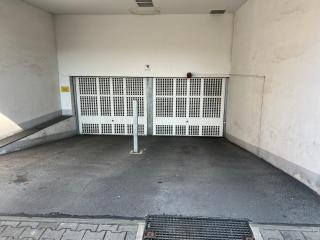Lion Apartment 1 - 1