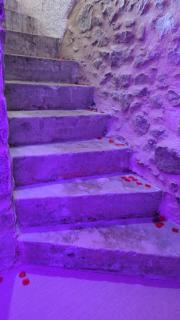 Les Murmures du Rhône - Appartement Cosy et Lumineux - 5