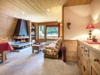 Appartement montagnard avec cheminée, animaux admis, proche pistes - FR-1-304-78 - La Clusaz - 0