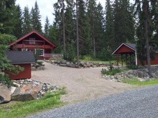 Nipasjalonen - 9