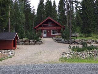 Nipasjalonen - 7