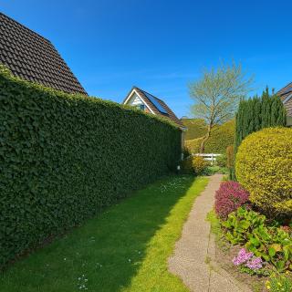HÜBSCHES FERIENHAUS IN OUDDORP - fußläufig zum Strand und Zentrum - 8
