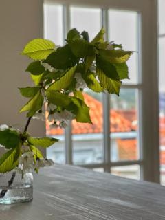 Cozy seaview in the heart of Son - 3