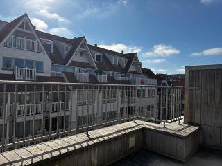 NEW Zilt Knokke-Heist - 8