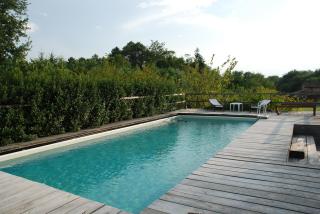 Podere Le Buche - Pelago - 0
