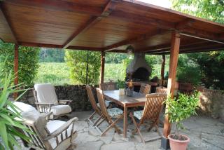 Podere Le Buche - Pelago - 7