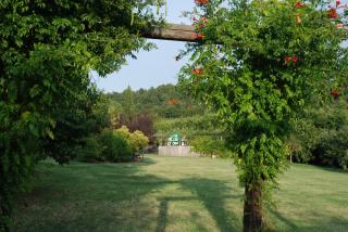 Podere Le Buche - Pelago - 5