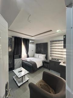Stylish Studio Near Jabi Mall - 8