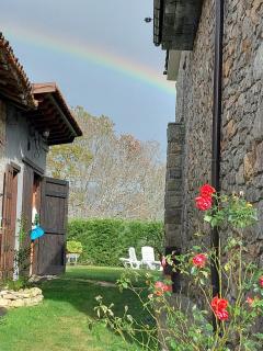 Flor de Pomar - 8