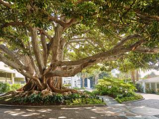 Fairmont Miramar Hotel & Bungalows - 8