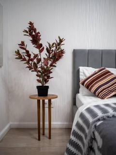 Smart Luxe 11 - 4