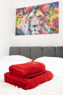 Lion Apartment 2 - 1