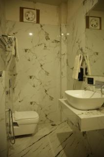 Shiv Resort & Palace - 1
