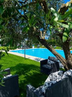 Agriturismo La Vita è Bella - 6