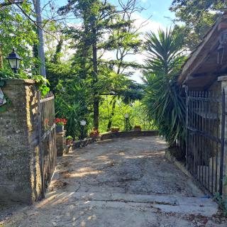 Arezzo - Il Rifugio nel Bosco - 4