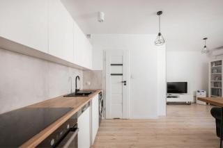 Luxury Private Floor Apartment, Sleeps 6, Wrocław Rynek - 6
