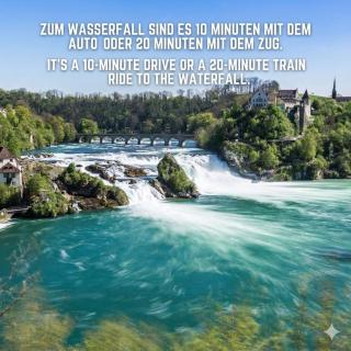 Mehrere Ferienwohnungen in Top Lage in der Nähe eines Rhein-Strandbads - 5