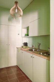 Cactus Hydra - Art Apartments - 2