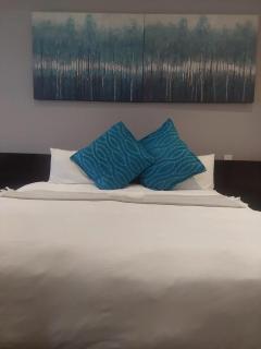 Urban Oasis Sandton Skye Apartment 407 & 313 - 5
