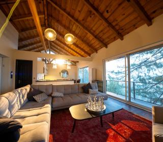 Blue Pine Mountain Homes - 4