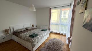 Modern 2 Room Apartment with Balcony in Dresden - 8