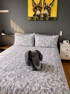 Contact For Best Prices, Large City Ctr 1 bed Apt, Free Parking, Garden, Bath & Shower, Wifi - 9