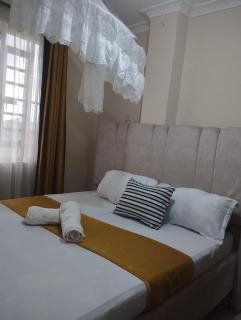 Elegant Luxury homes - 2