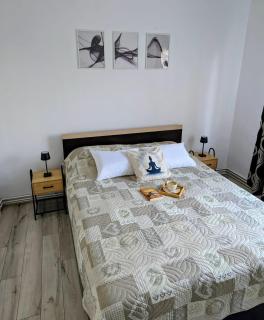 Ariana Urban Loft - 5
