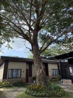 SeVita Suites - 3