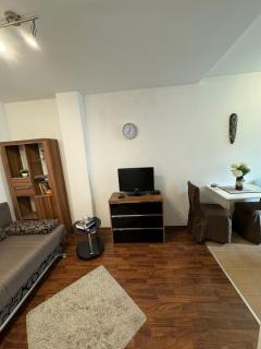 Cozy Studio near City Center ZG - 1