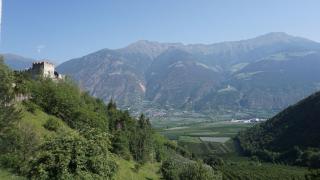 Montani - 2