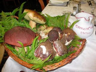 Albergo "da Tosca" - Abetone - 8